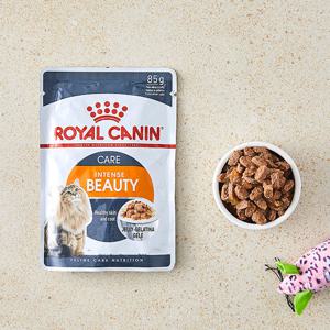 로얄캐닌 인텐스 뷰티 젤리 파우치 85g 고양이 사료