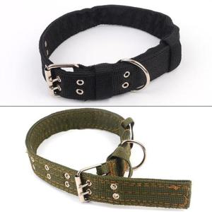 대형견용 벨트타입 애견 목줄