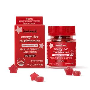 허벌랜드 에너지 스타 멀티비타민 식물성 구미젤리/ 30일