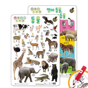 애플비 소리 나는 벽그림 동물