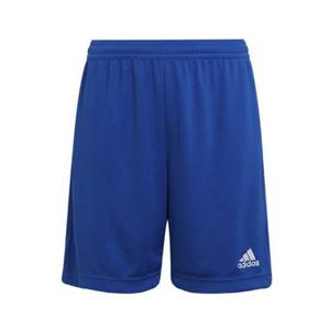 아디다스키즈반바지 VQC HG6291 아디다스 유소년 엔트라다22 쇼