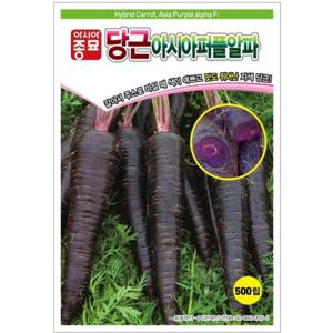 아시아종묘 씨앗 당근 아시아퍼플알파 500립