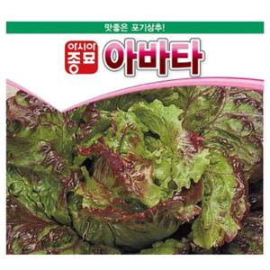 아시아종묘 씨앗 상추 아바타 1000립