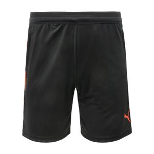 푸마 인디비쥬얼컵 쇼트 ASIA SP(66020507)