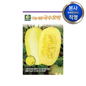 다농 새론국수 호박 씨앗 30립 . 채소 텃밭 재배 주말 농장 파종 씨 종자.