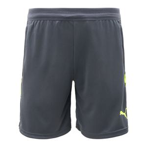 푸마 인디비쥬얼컵 쇼트 ASIA SP(66020508)