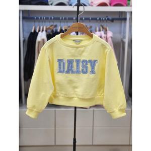 컬리수 세이브존04 데이지레터링맨투맨 C251TS204P