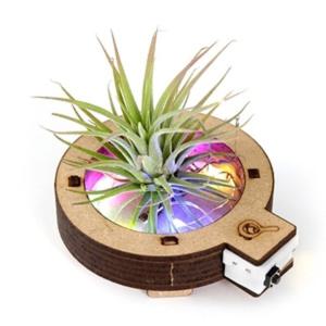 사이언스타임 LED공기정화 화분만들기