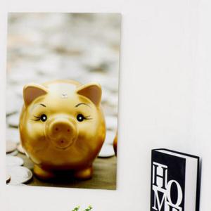 아트박스/꾸밈 cs543-아크릴액자_복이오는황금돼지(대형)