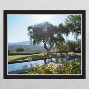 아트박스/꾸밈 cg616-꽃들과수영장__창문그림액자