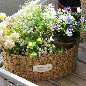 아트박스/하하홈 아바카 낮은 타원 바스켓