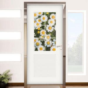 아트박스/꾸밈 ih863-창문그림(계란꽃)_현관문시트지