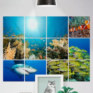 아트박스/꾸밈 ia302-멀티액자_언더더씨