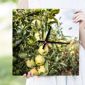 아트박스/꾸밈 ts306-풋사과나무_인테리어벽시계