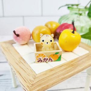 아트박스/러브컨츄리 유리 미니어쳐 귤상자안에 고양이