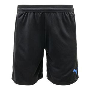 푸마 인디비쥬얼컵 트레이닝 쇼트 ASIA SP(66049907)