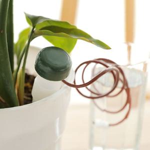 화분 물공급기 2P 자동급수 식물 대형 소형 다육이 꽃