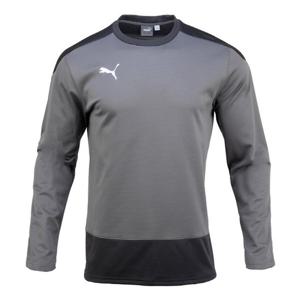 [푸마][루페코리아] 푸마 긴팔 팀골 23 트레이닝 스웨트 6564781