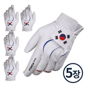 [어베이브] 팀코리아 태극기 국가대표 콤비양피 골프장갑 5장 _V