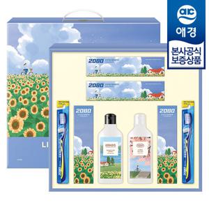 [애경][애경 선물세트] 꽃길 3호 x1개