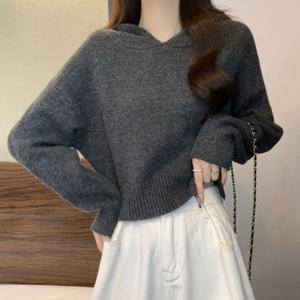 [드넬]루루후드니트DWK53672A