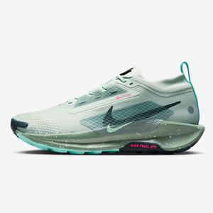 [국내매장] 나이키/남성운동화/페가수스 트레일5 고어텍스 (FQ0908-013)