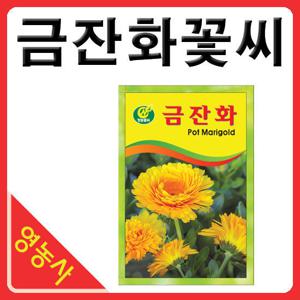 금잔화씨앗- 금잔화씨 금잔화꽃씨 금잔화꽃씨앗