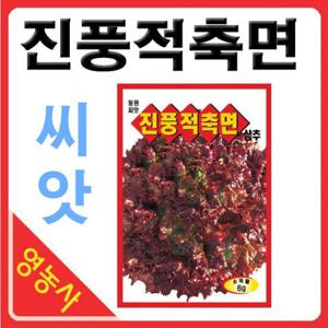 진풍적축면 상추씨앗 6g- 고급 상추씨앗 상추씨