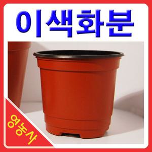 이색화분- 화분 포트 모종 화분받침 모종화분