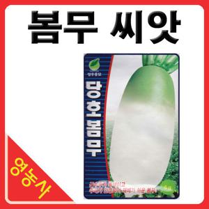 당호 봄무씨앗 (6g) 봄무씨앗 봄무씨 무씨앗 무씨