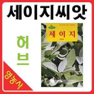 세이지허브씨앗 허브 씨앗 50립-