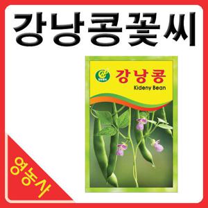 강낭콩 꽃씨 꽃씨앗 강낭콩씨 강남콩
