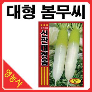 신관대형봄무씨앗 6g- 봄무씨앗 무씨앗 무씨