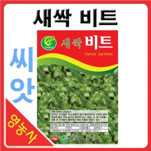 새싹비트씨앗-새싹채소/새싹씨앗/학습용/실험용