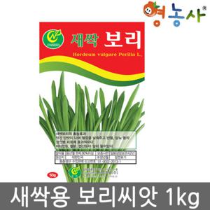 새싹-보리1kg - 청보리씨앗 보리씨앗 씨앗