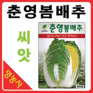 춘영 봄배추씨앗 500립 배추씨앗 배추 재배 채소씨앗