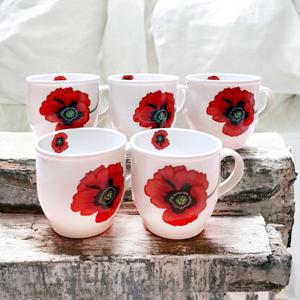 [마쯔오카] 양귀비 머그컵/찻잔 5P 선물세트