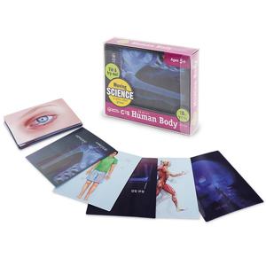 (러닝리소스)무빙 휴먼바디 카드(인체 탐구)/LER2929