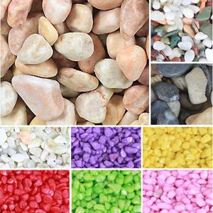 가꾸지오 원예돌& 칼라스톤