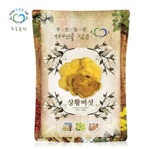 푸른들판  장수 상황 버섯 100g 원물 덩어리 진흙버섯