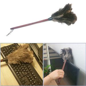 먼지웅 타조 깃털 먼지털이개