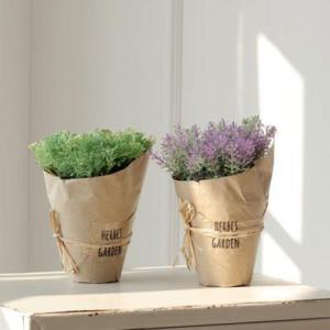 [아트박스 POOM/행복디자인] 허브가든 종이화분 4Type
