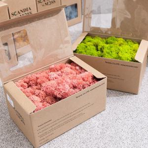 스칸디아모스 천연이끼 공기정화 식물 150g 20컬러 만들기 재료 키트 diy 인테리어