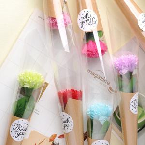 가꾸지오 비누꽃 카네이션 한송이 10컬러