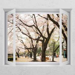 아트박스/꾸밈 ic155-벚꽃나무아래서_창문그림액자