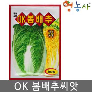 OK 봄배추씨앗 500립 배추씨앗 통 큰 노란 배추 종자
