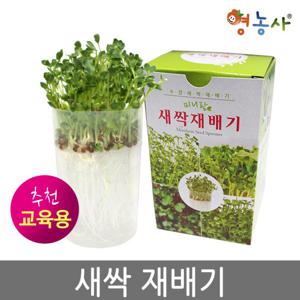 미니 새싹재배기 새싹씨앗 새싹용기 재배용기