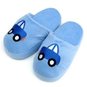 프라니 보아슬리퍼 - 자동차