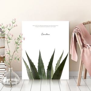 FRANCO 갤러리테이블(중) 선인장/접이식 액자 테이블