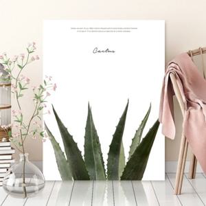 FRANCO 갤러리테이블(대) 선인장/접이식 액자 테이블